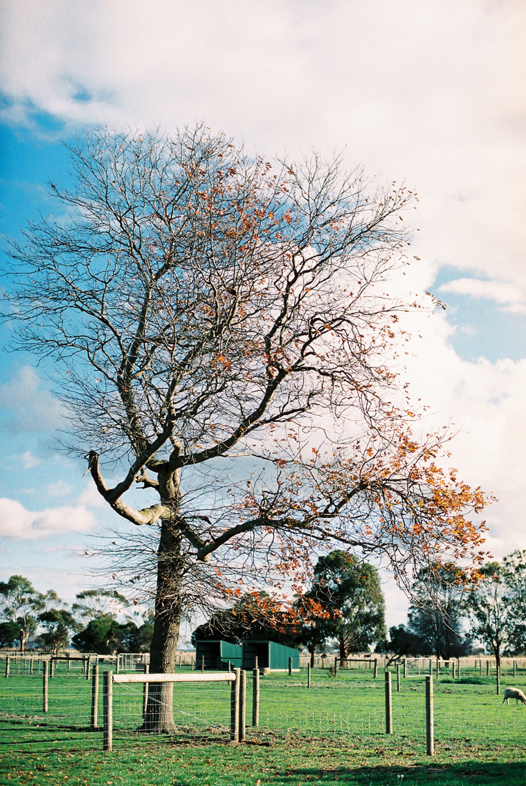 Australia Melbourne Film Lifestyle Street Photogrpher Inlight Photos Joshua K_0020